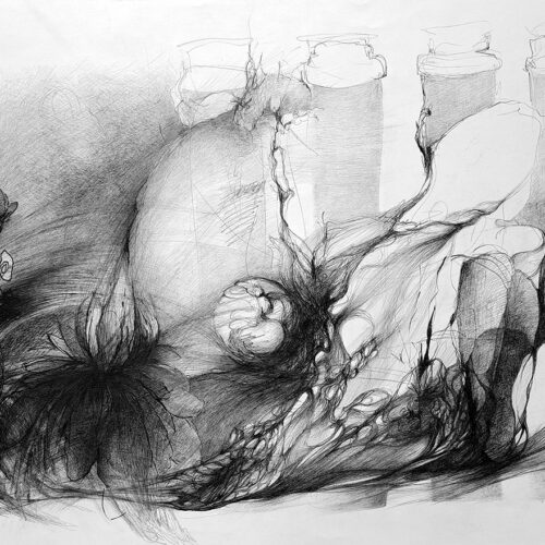 black and white drawing plants and shapes