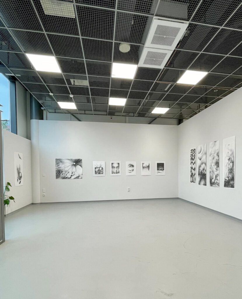 Galleria Aarni, seinät 1,2,3