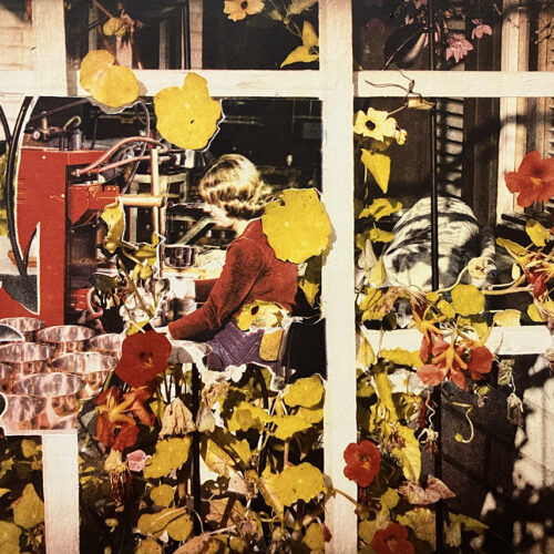 Janika Herlevi, From My Mothers Garden, fotopolymeeri, 45 x 30 cm, 2025